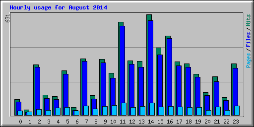 Hourly usage for August 2014