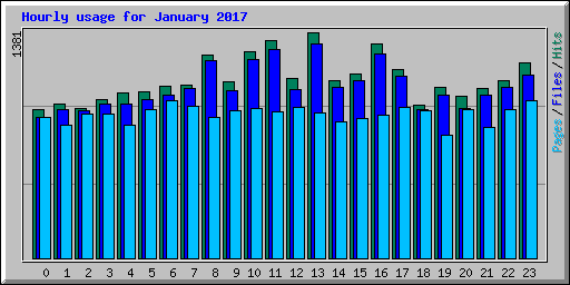 Hourly usage for January 2017